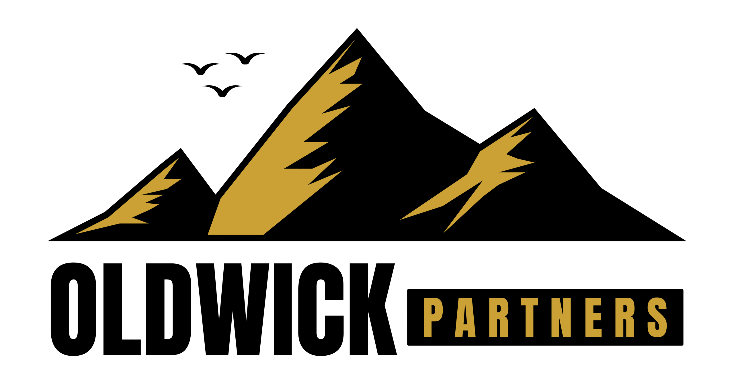 OldWick Partners
